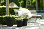 green basics top planter 23cm living noir